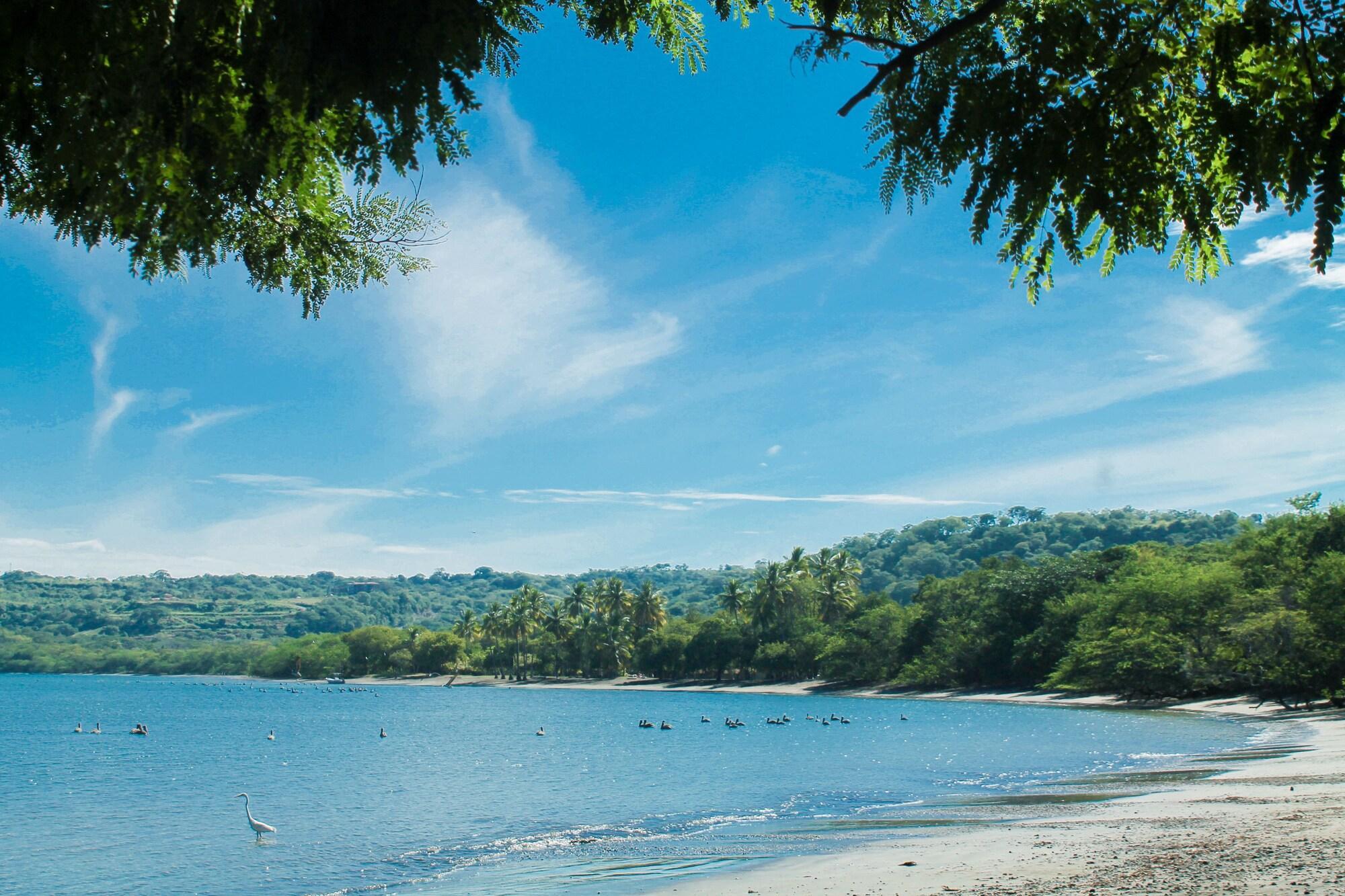 Papagayo Golden Palms Beachfront Hotel Panamá Exteriér fotografie